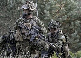 Image result for Canadian Army Special Forces
