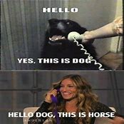 Image result for Hello This Is Bob Dog Meme