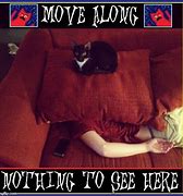 Image result for Couch Meme