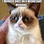 Image result for Grumpy Cat Wednesday Meme