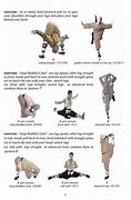 Image result for Kung Fu Exercises