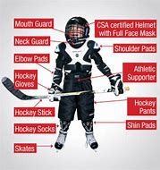 Image result for Hocky Gear and Accessories