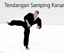 Image result for AnimaSi Silat