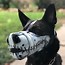 Image result for Custom Dog Muzzles