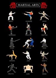 Image result for Martial Arts Posters