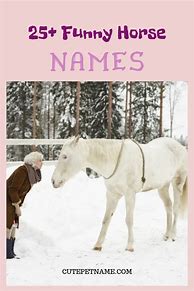 Image result for Weird Horse Names