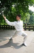 Image result for Hung Gar Kung Fu Stance
