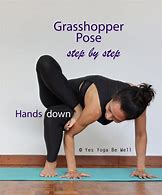 Image result for Grasshopper Yoga