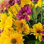 Image result for Small 12 Petals Yellow Flower