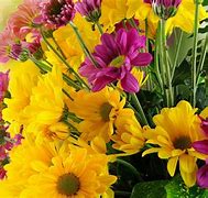 Image result for High Quality Desktop Wallpaper Pink and Yellow