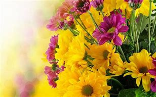 Image result for Image of Spring Flowers with Pink and Green and Yellow