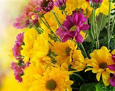 Image result for Pastel Pink and Yellow Flowers Background