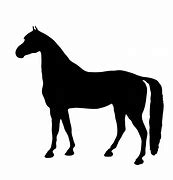 Image result for Horse Head Silhouette Outline