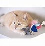 Image result for Petlinks Cat Toys