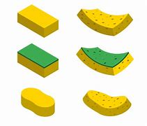 Image result for Sponge Vector