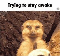 Image result for Still Awake Funny