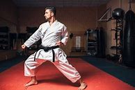 Image result for Martial Arts Master