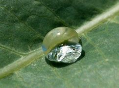 Image result for Drop Phone in Water PNG