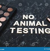Image result for No Animal Testing Eyebrow Makeup