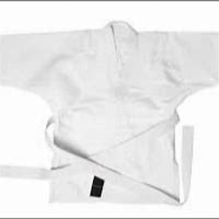 Image result for Judo Gi