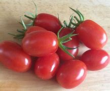 Image result for Assila F1 Tomato Seeds