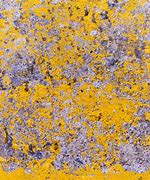 Image result for Concrete Texture Free