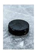 Image result for Ice Hockey Puck