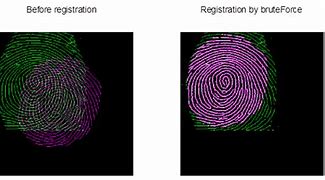 Image result for Apple's Fingerprint Identification