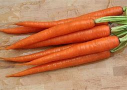 Image result for Carrot Orange Color