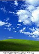 Image result for Free Windows Wallpaper