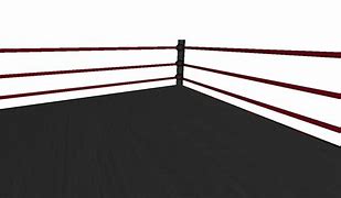 Image result for Pro Wrestling Ring