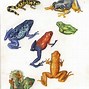 Image result for Amazing Frog Drawing