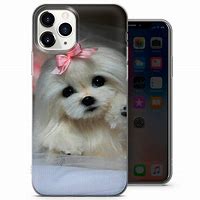 Image result for Maltese Dog Phone Case