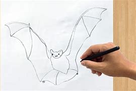 Image result for Realistic Bat Drawing