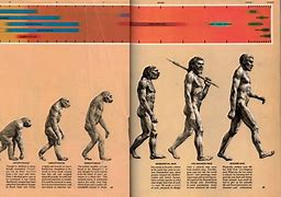 Image result for Evolution Scientists Timeline