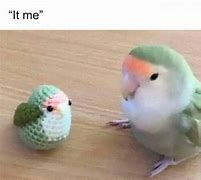 Image result for Pouting Bird Meme