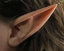 Image result for Elf Ears Snapchat