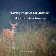 Image result for Saving Animal Quotes