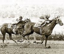 Image result for The Racehorse Affirmed and Alydar