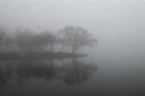 Image result for Mist Eliminator