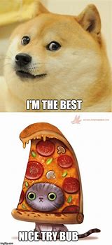 Image result for Memes Pizza Cat Drawing