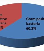 Image result for Gram Positice Chart