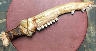 Image result for Blackfoot Bear Jawbone Knife