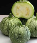 Image result for Squash Vegetable