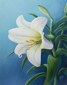 Art Drawings Lilies (48 photos) » Drawings for sketching and not only - Papik.PRO
