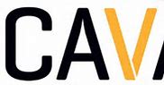 Image result for Cava Connect Logo