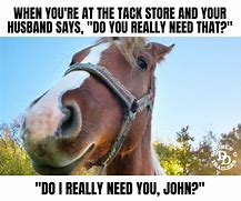 Image result for Relatable Funny Horse Memes