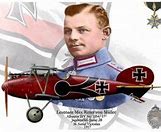 Image result for WW1 Aircraft