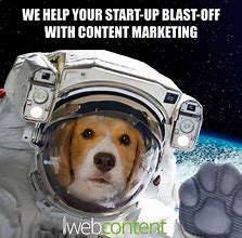 Image result for Comms and Marketing Meme