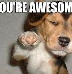 Image result for You're Awesome Dog Meme